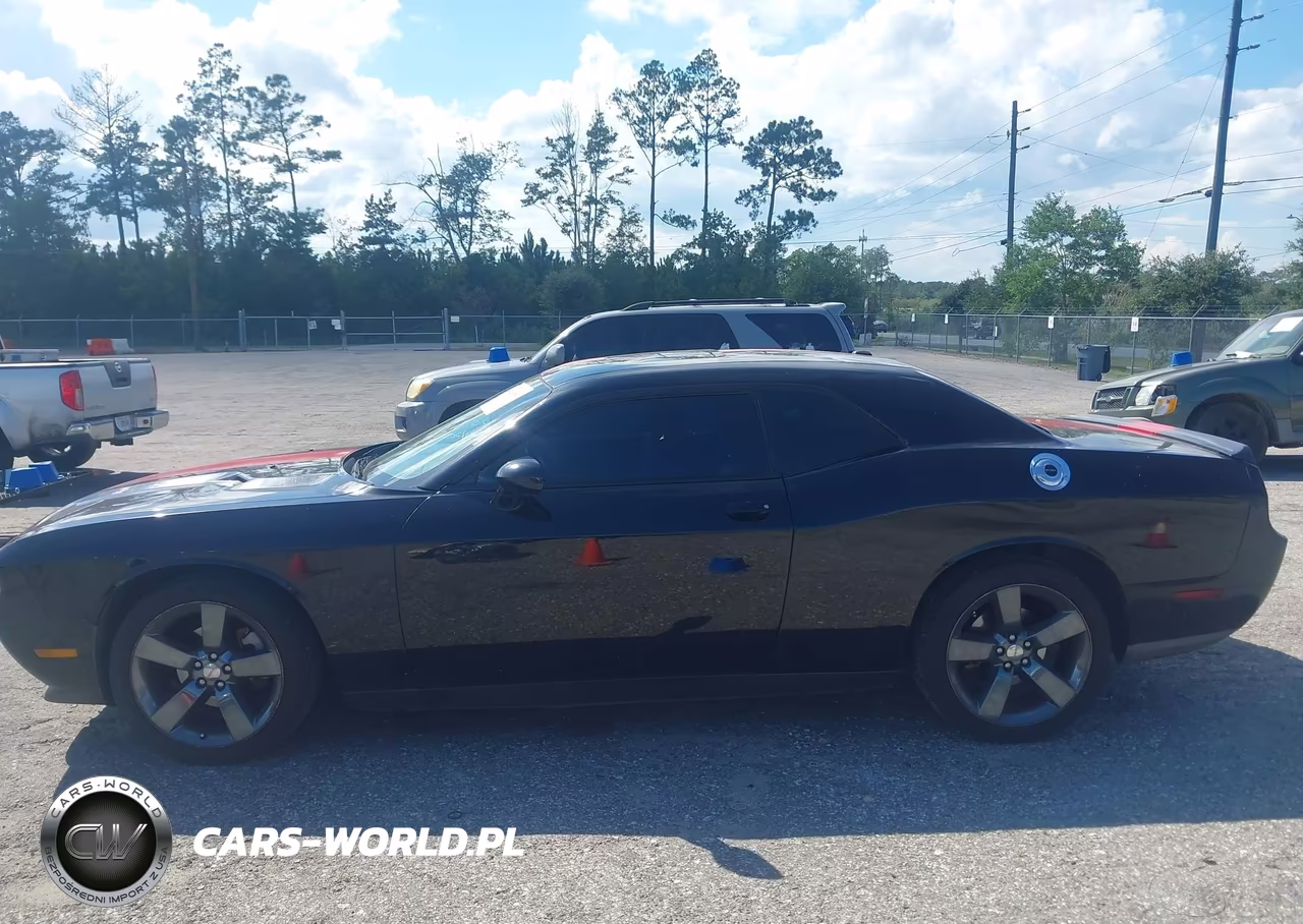 2014 Dodge Challenger Rallye Redline VIN:2C3CDYAG8EH123550 - 14