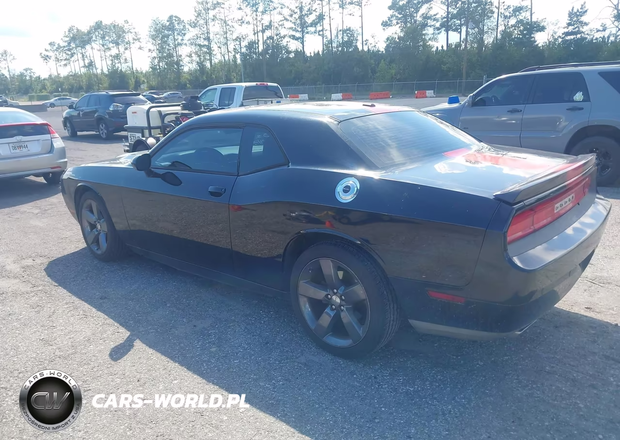 2014 Dodge Challenger Rallye Redline VIN:2C3CDYAG8EH123550 - 3