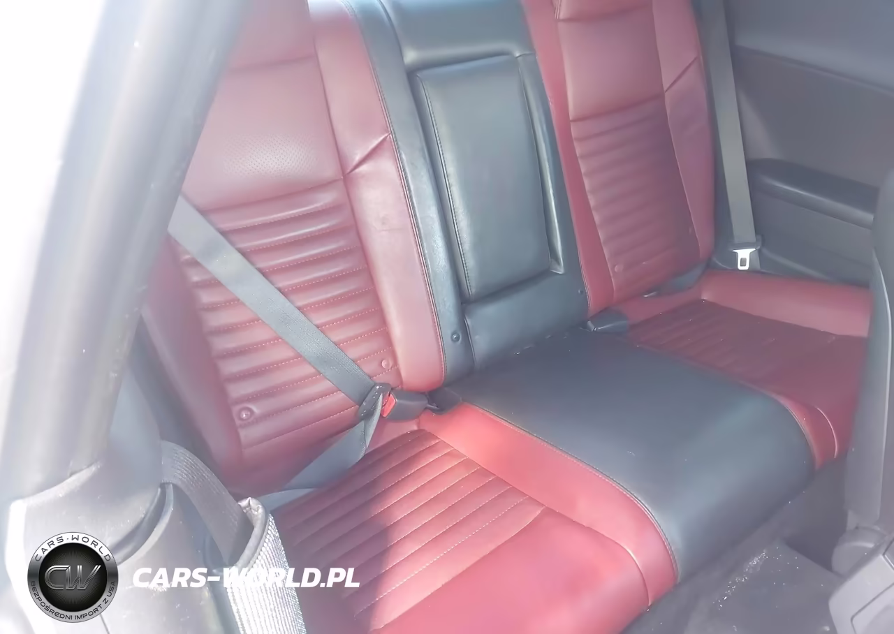 2014 Dodge Challenger Rallye Redline VIN:2C3CDYAG8EH123550 - 8