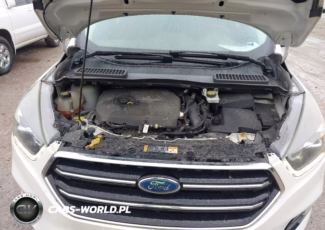 2017 Ford Escape Titanium VIN:1FMCU9JD0HUC23100 - 10