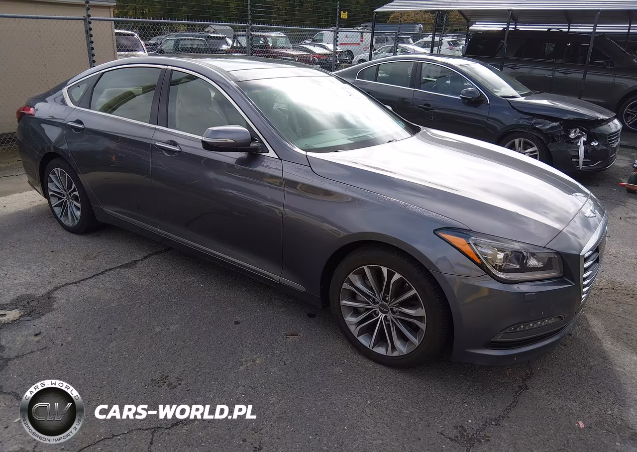 2016 Hyundai Genesis 3.8 VIN:KMHGN4JE8GU136442 - 1
