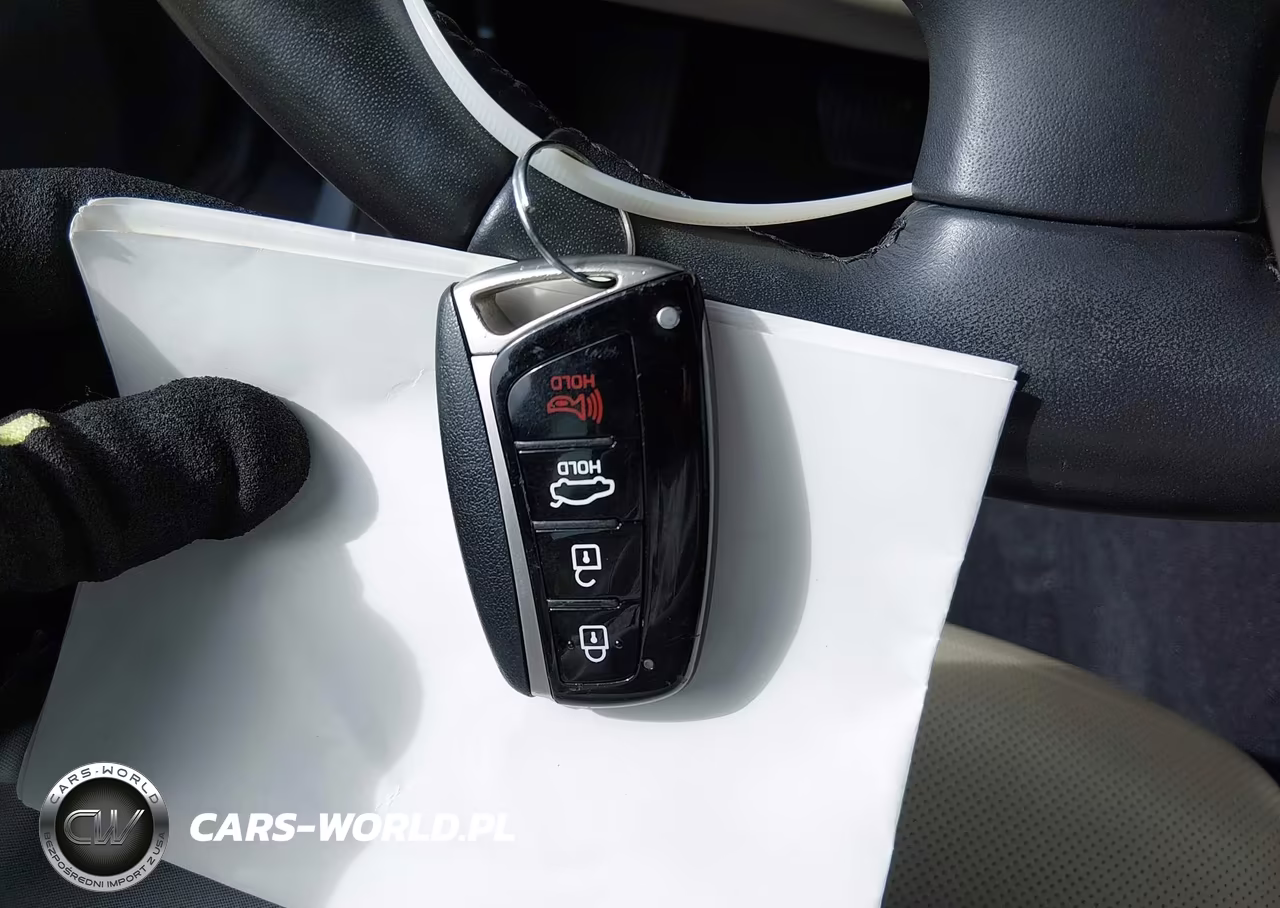 2016 Hyundai Genesis 3.8 VIN:KMHGN4JE8GU136442 - 11