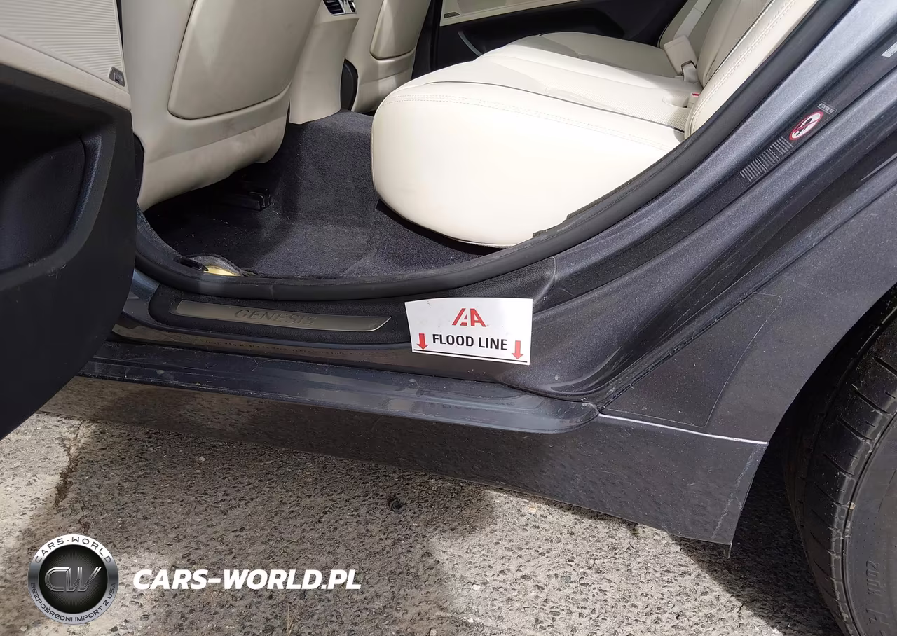 2016 Hyundai Genesis 3.8 VIN:KMHGN4JE8GU136442 - 12