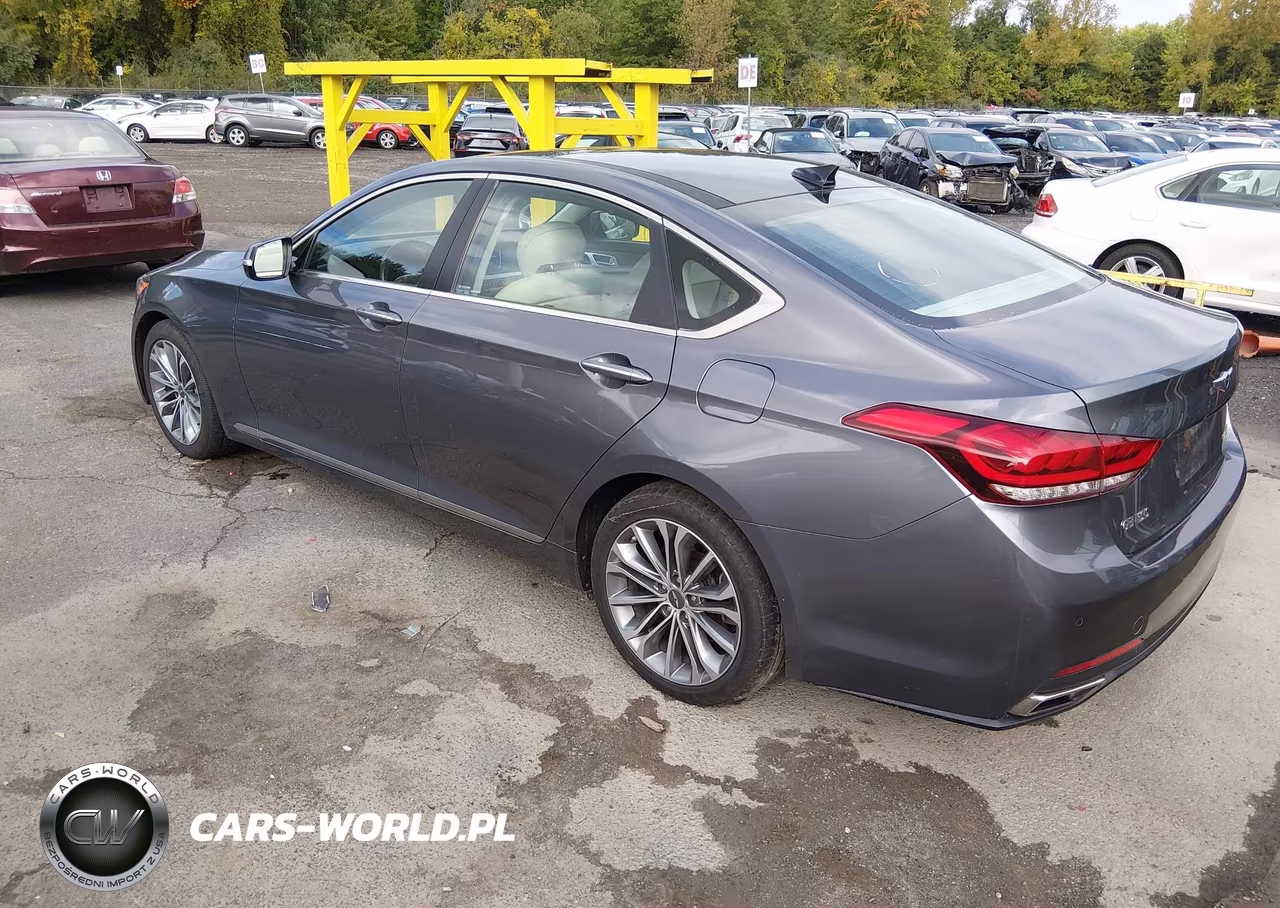 2016 Hyundai Genesis 3.8 VIN:KMHGN4JE8GU136442 - 3