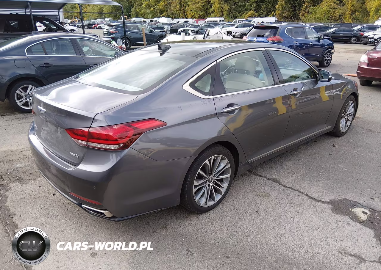 2016 Hyundai Genesis 3.8 VIN:KMHGN4JE8GU136442 - 4
