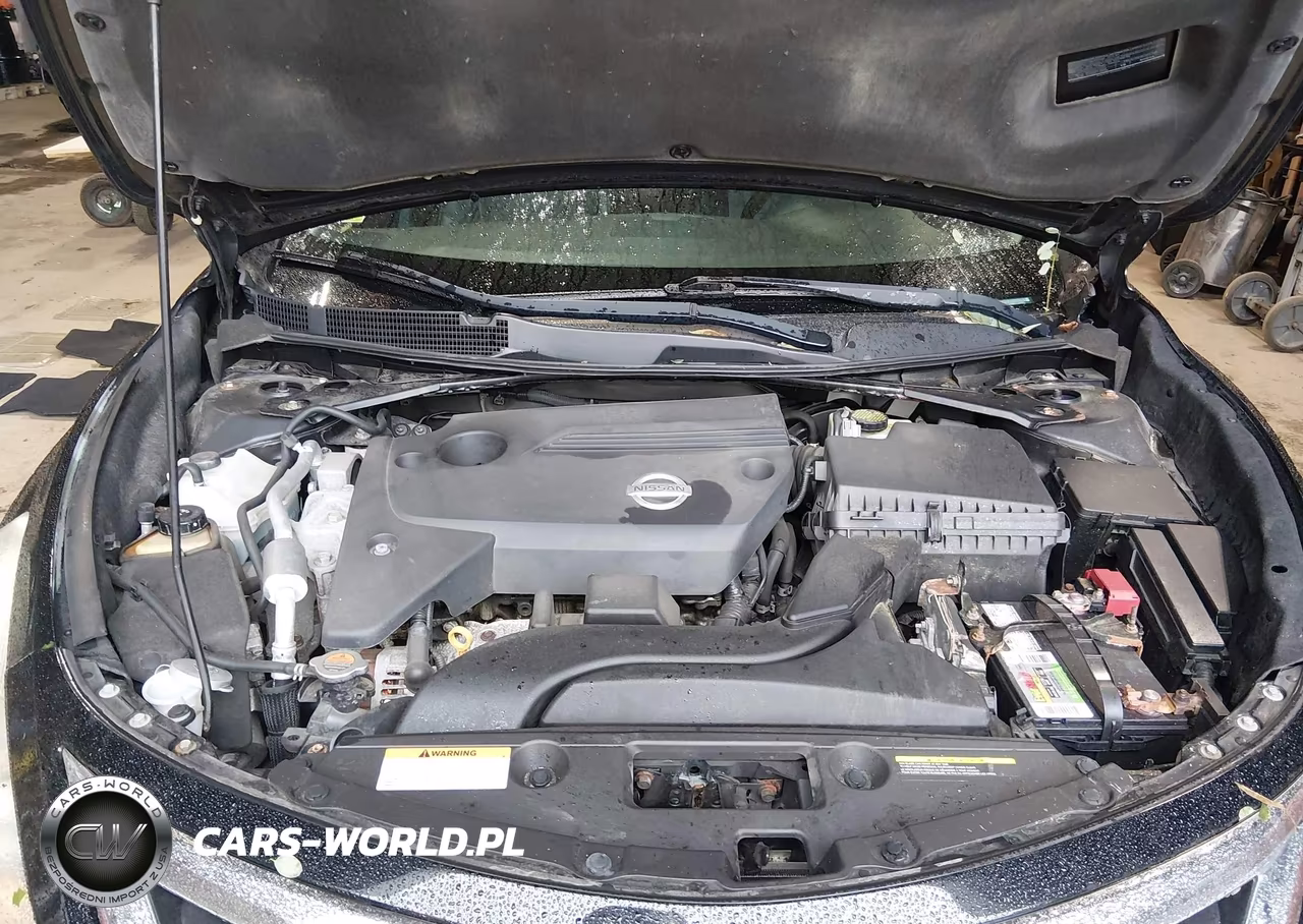 2014 Nissan Altima 2.5 Sl VIN:1N4AL3AP6EC101063 - 10