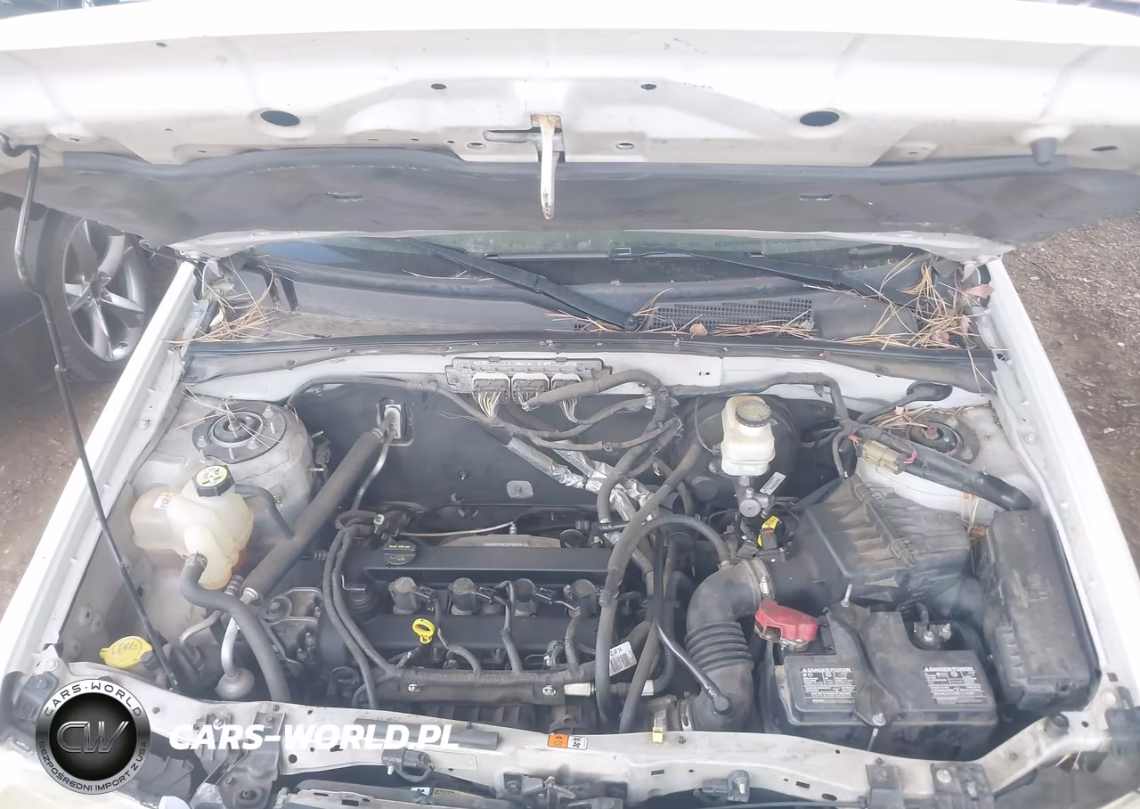 2009 Ford Escape Xlt VIN:1FMCU03749KD01703 - 10