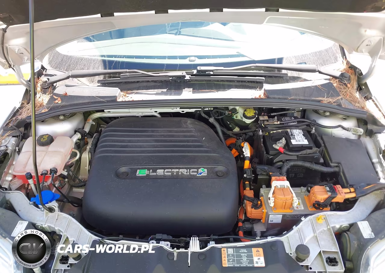 2018 Ford Focus Electric VIN:1FADP3R43JL296139 - 10