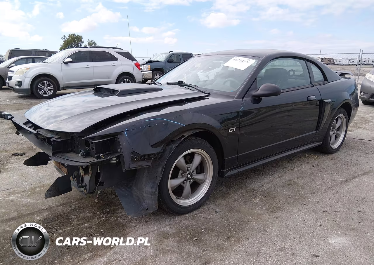 2002 Ford Mustang Gt Deluxe-Gt Premium VIN:1FAFP42X62F194143 - 2