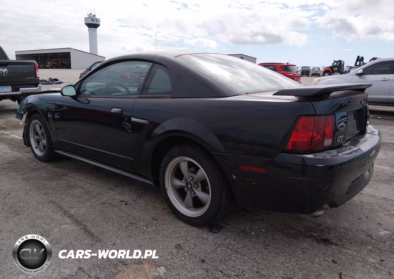 2002 Ford Mustang Gt Deluxe-Gt Premium VIN:1FAFP42X62F194143 - 3