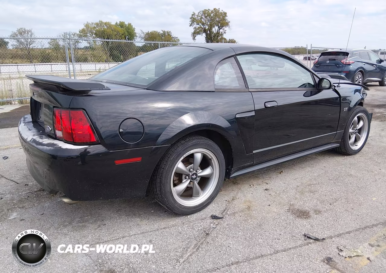 2002 Ford Mustang Gt Deluxe-Gt Premium VIN:1FAFP42X62F194143 - 4