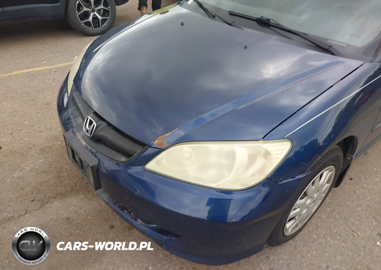2004 Honda Civic Lx VIN:1HGES16594L010976 - 6