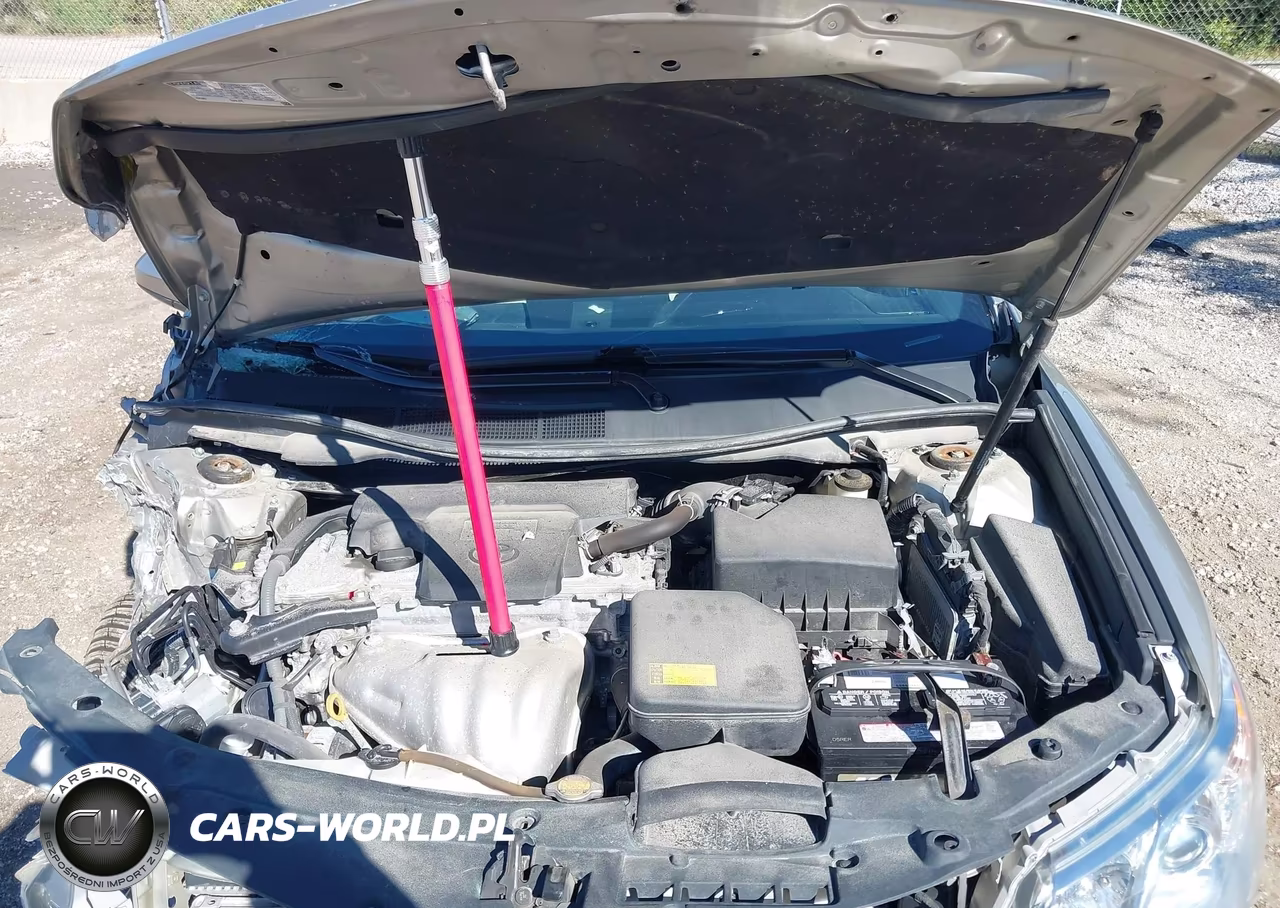 2014 Toyota Camry Xle VIN:4T4BF1FK3ER362573 - 10