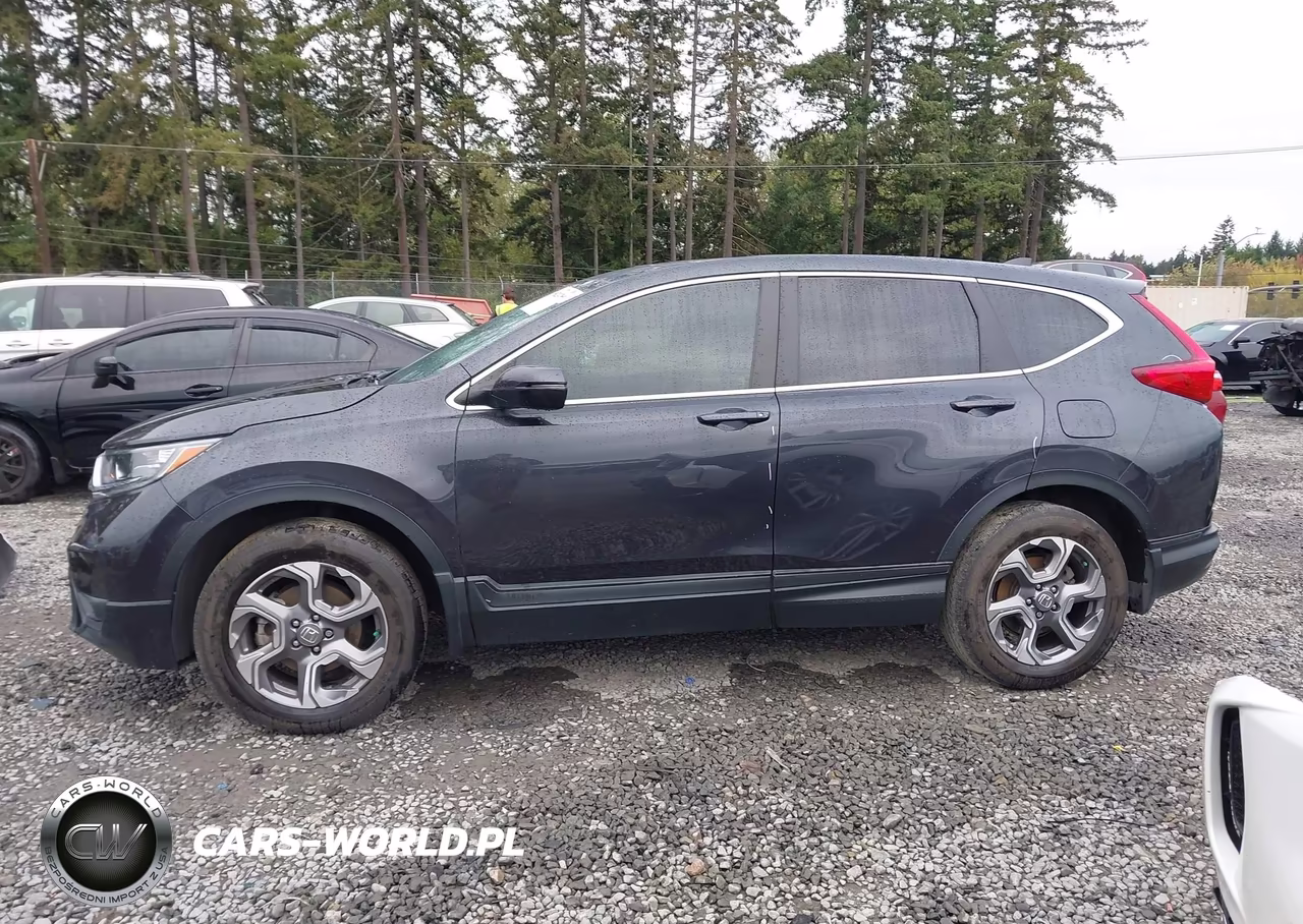 2019 Honda Cr-V Ex-L VIN:5J6RW2H83KA007091 - 14