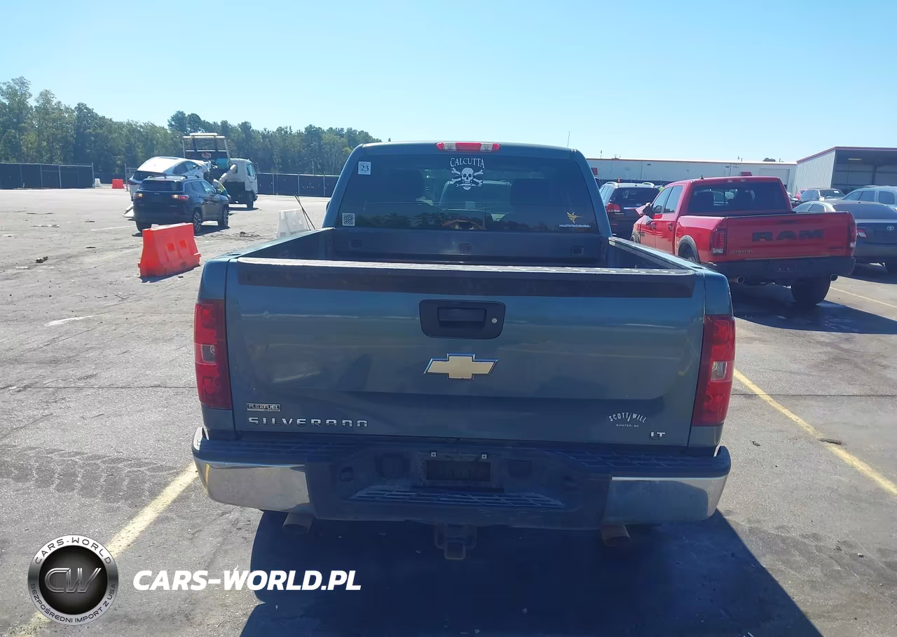 2010 Chevrolet Silverado 1500 Lt VIN:1GCSKSE39AZ119082 - 16