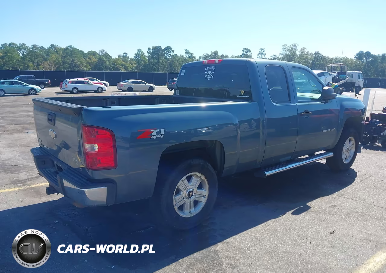 2010 Chevrolet Silverado 1500 Lt VIN:1GCSKSE39AZ119082 - 4