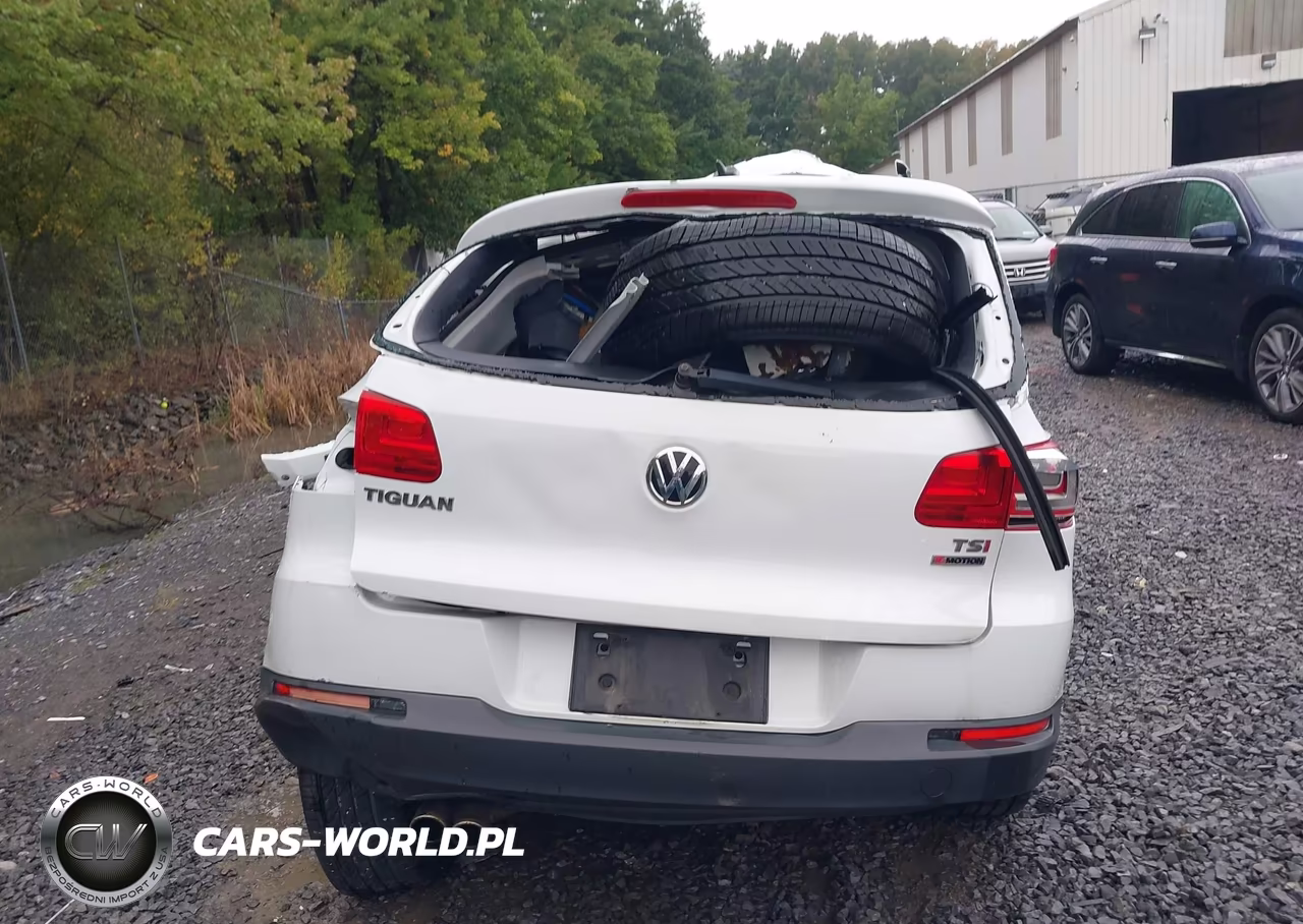 2017 Volkswagen Tiguan 2.0T Wolfsburg Edition VIN:WVGSV7AX6HK015306 - 17