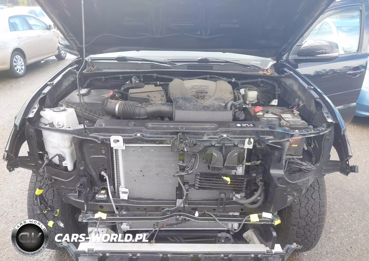2019 Toyota Tacoma Trd Sport VIN:3TMDZ5BNXKM062325 - 10