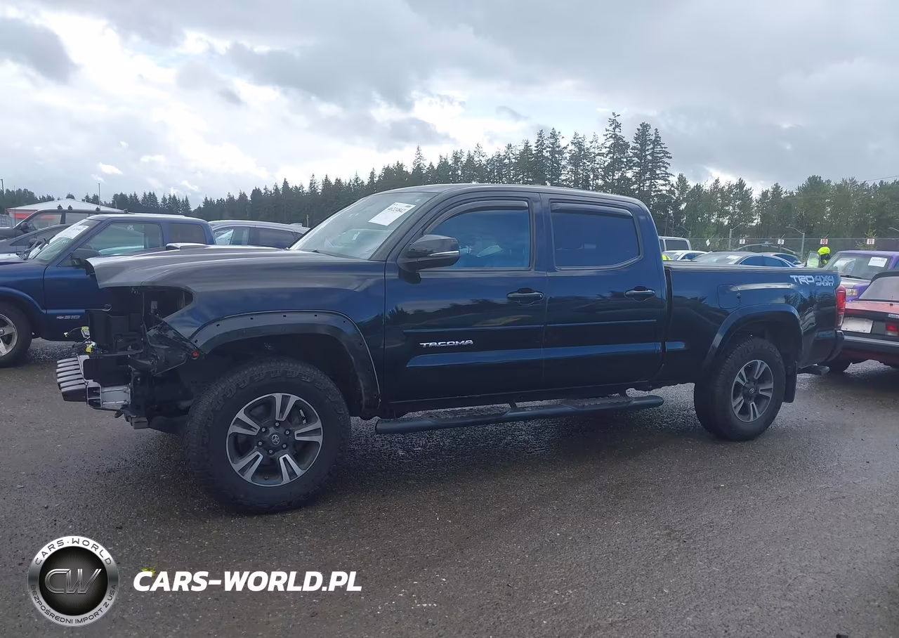2019 Toyota Tacoma Trd Sport VIN:3TMDZ5BNXKM062325 - 15