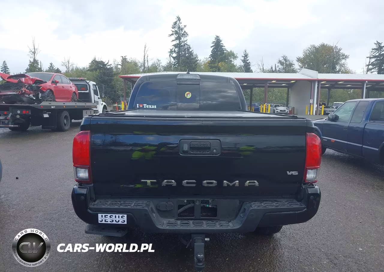 2019 Toyota Tacoma Trd Sport VIN:3TMDZ5BNXKM062325 - 17