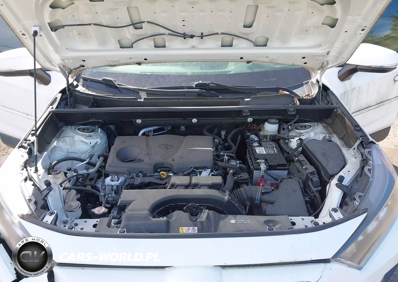 2019 Toyota Rav4 Le VIN:JTMG1RFV0KJ006820 - 10