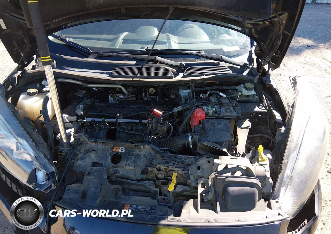 2016 Ford Fiesta Se VIN:3FADP4EJ3GM156598 - 10