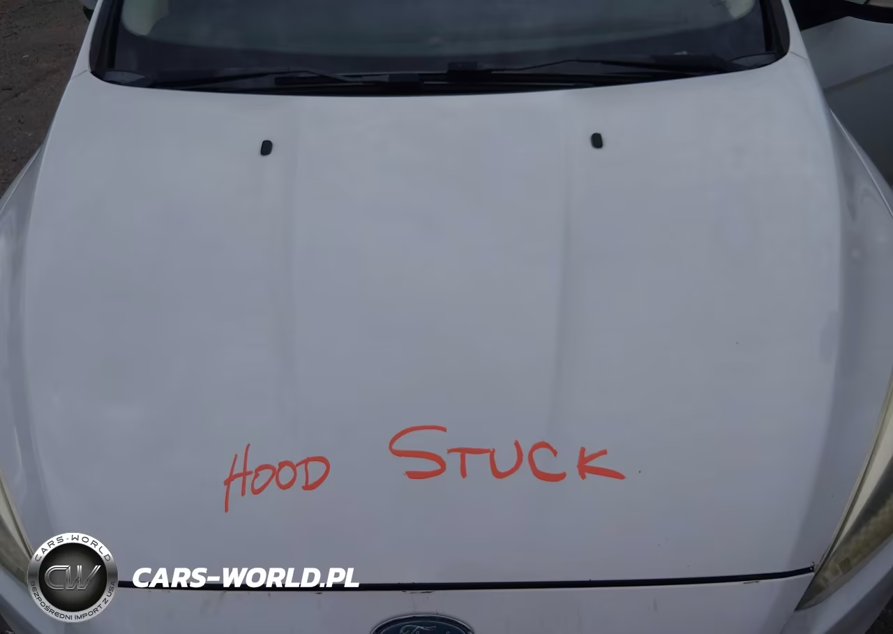 2015 Ford Focus Se VIN:1FADP3F28FL263633 - 10