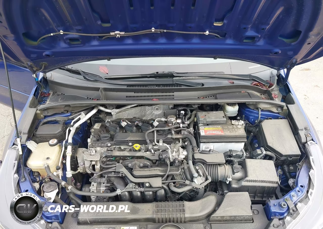 2020 Toyota Corolla Se VIN:JTDP4RCE6LJ008844 - 10