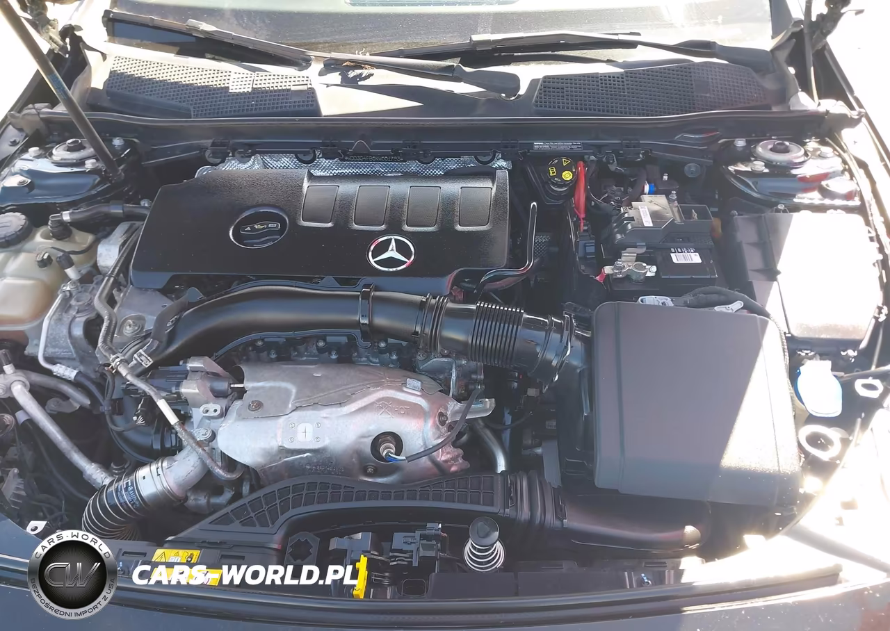 2019 Mercedes-Benz A 220 4Matic VIN:WDD3G4FB0KW001793 - 10