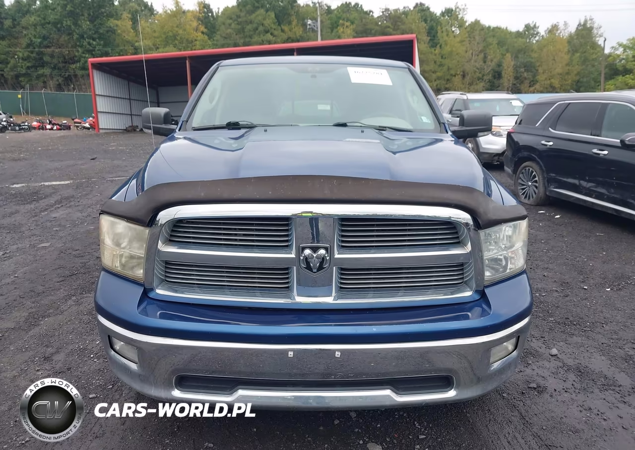 2010 Dodge Ram 1500 Slt-Sport-Trx VIN:1D7RV1GT9AS152241 - 12