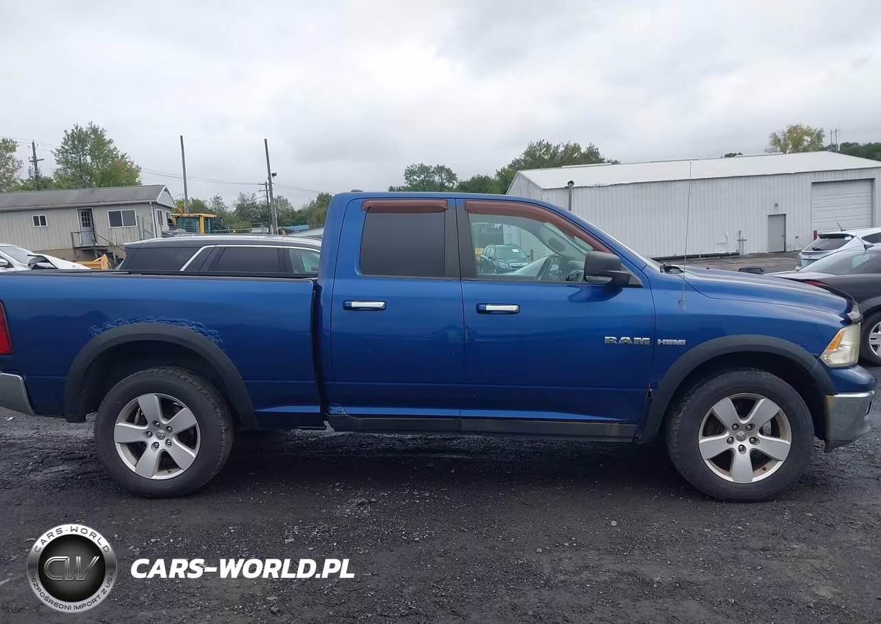 2010 Dodge Ram 1500 Slt-Sport-Trx VIN:1D7RV1GT9AS152241 - 13