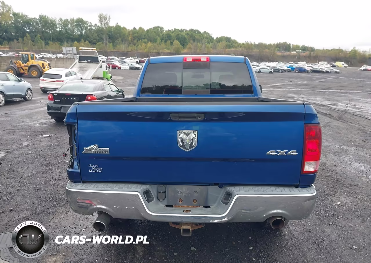 2010 Dodge Ram 1500 Slt-Sport-Trx VIN:1D7RV1GT9AS152241 - 16