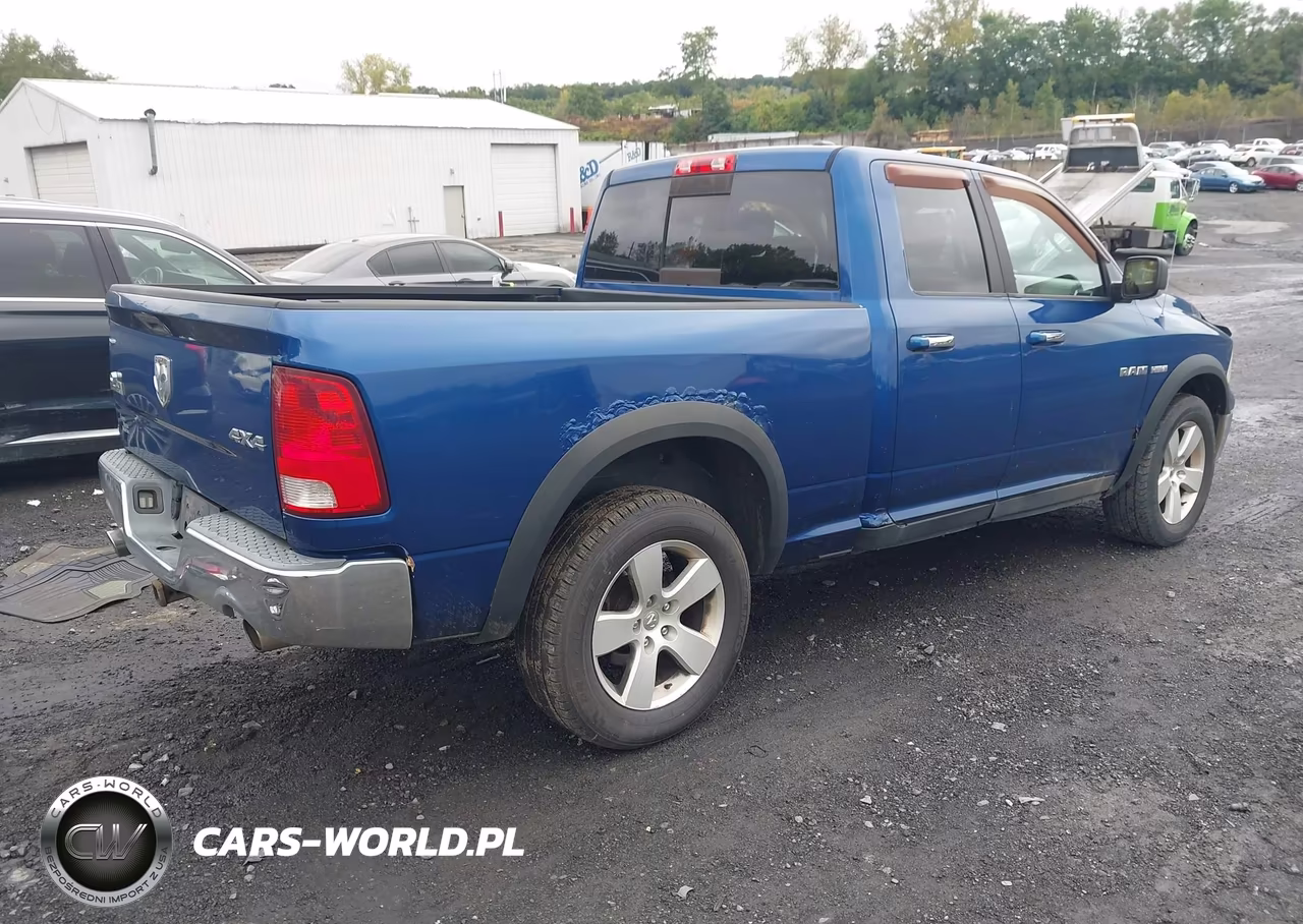 2010 Dodge Ram 1500 Slt-Sport-Trx VIN:1D7RV1GT9AS152241 - 4