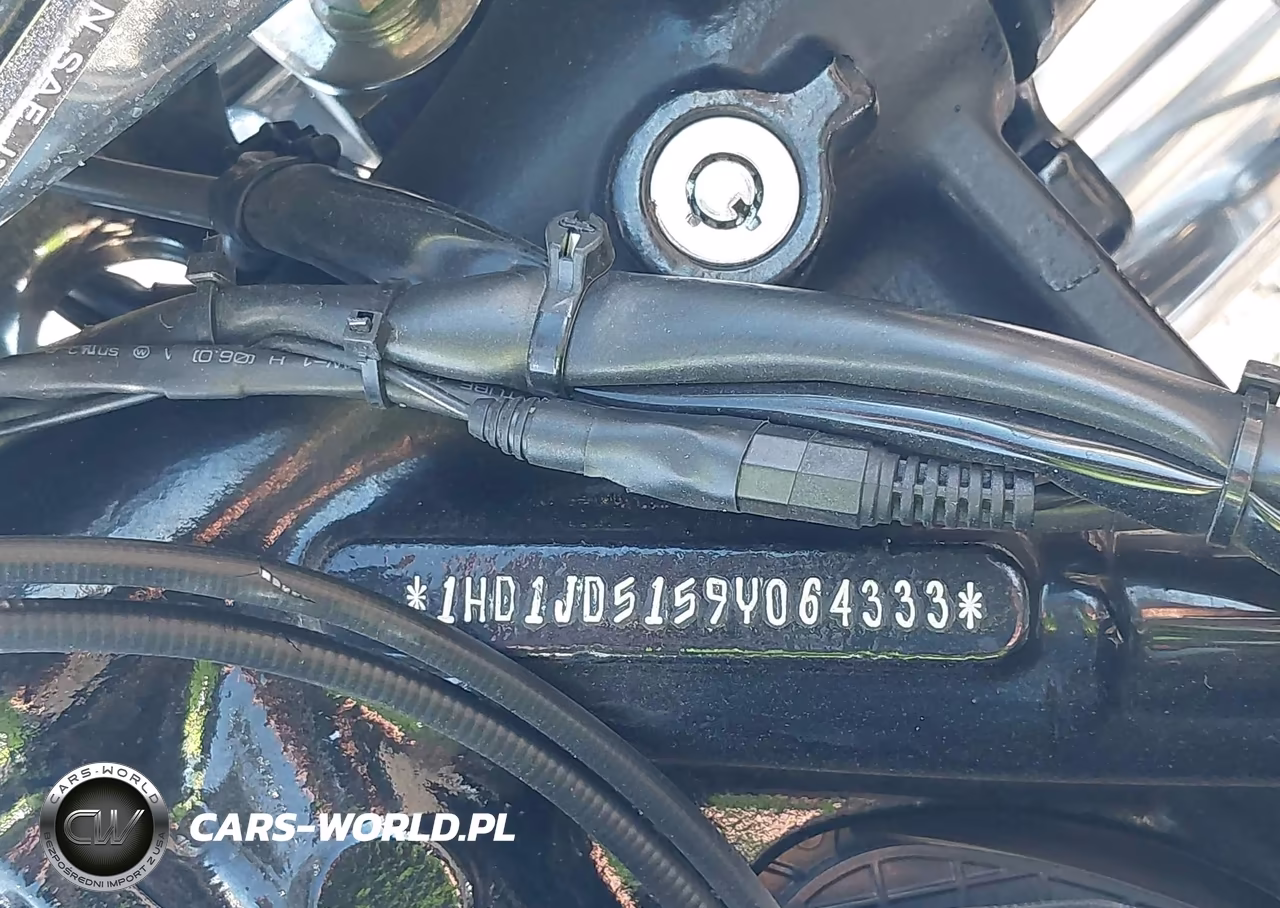 2009 Harley-Davidson Flstn VIN:1HD1JD5159Y064333 - 10