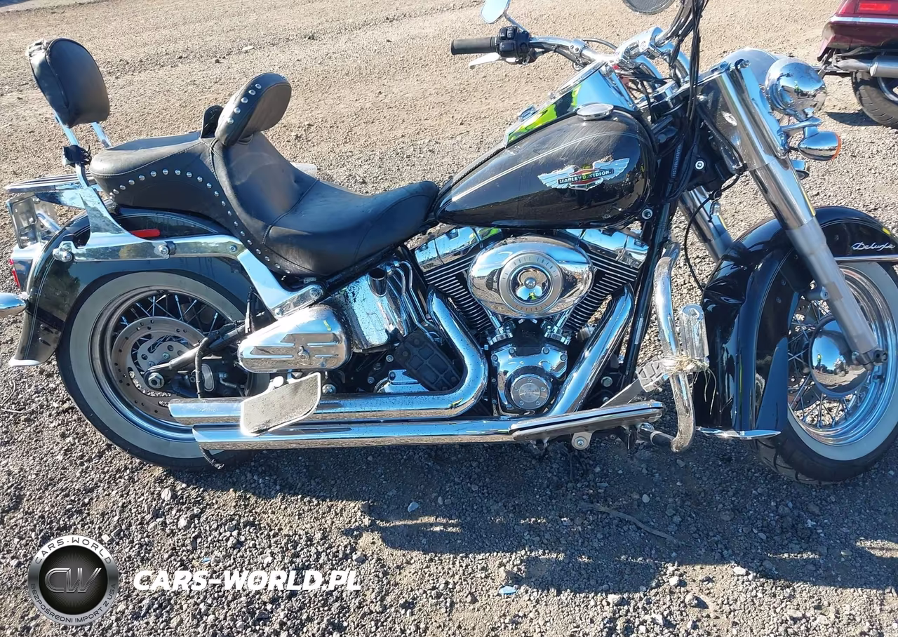2009 Harley-Davidson Flstn VIN:1HD1JD5159Y064333 - 11