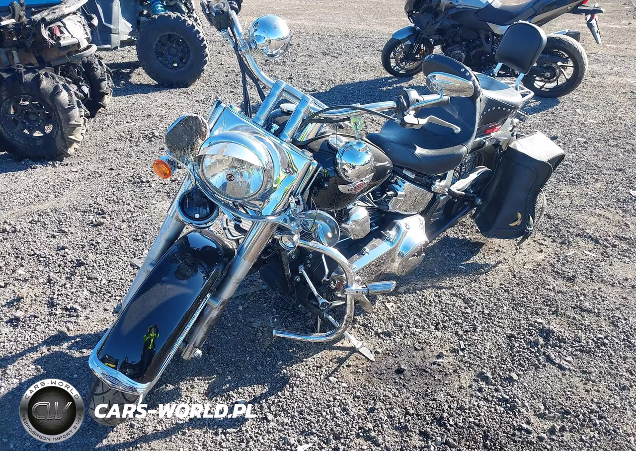 2009 Harley-Davidson Flstn VIN:1HD1JD5159Y064333 - 2