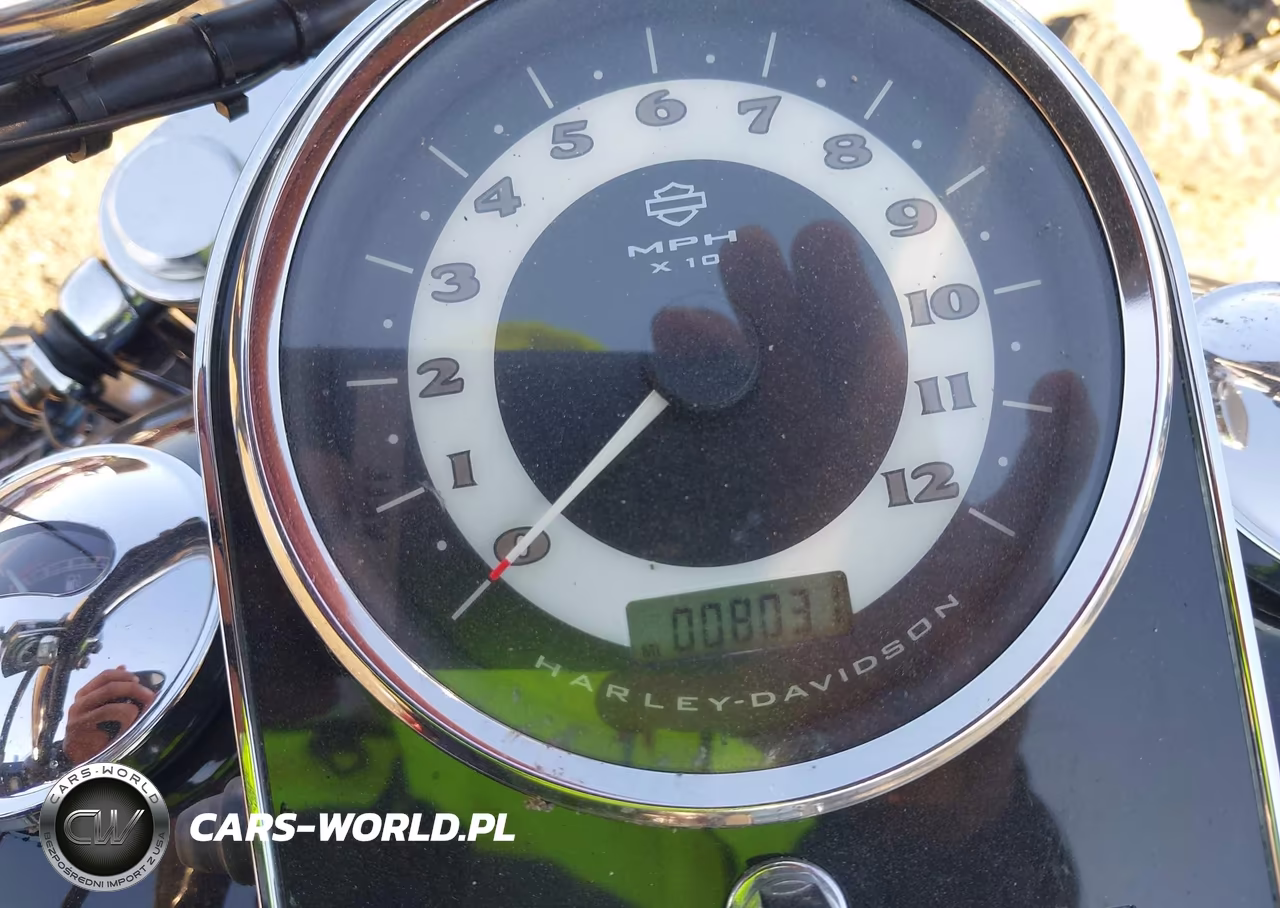 2009 Harley-Davidson Flstn VIN:1HD1JD5159Y064333 - 7