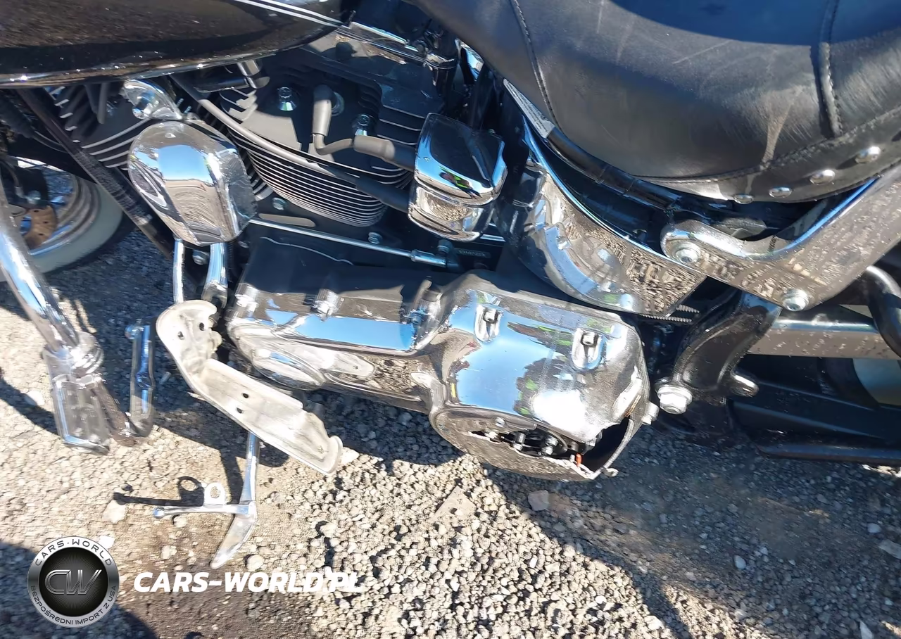 2009 Harley-Davidson Flstn VIN:1HD1JD5159Y064333 - 9