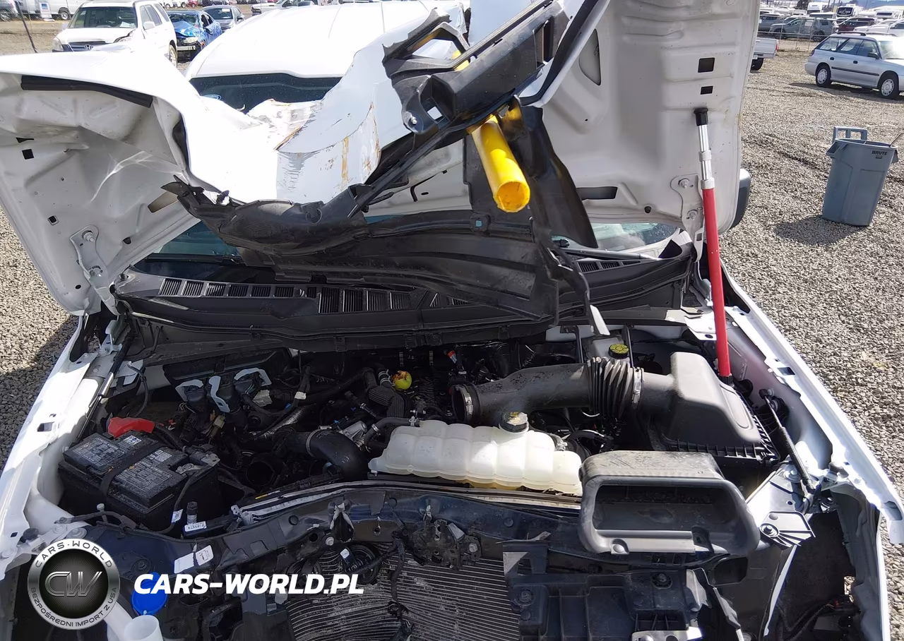 2025 Ford F-150 Xlt VIN:1FTEW3K82SKE88982 - 10