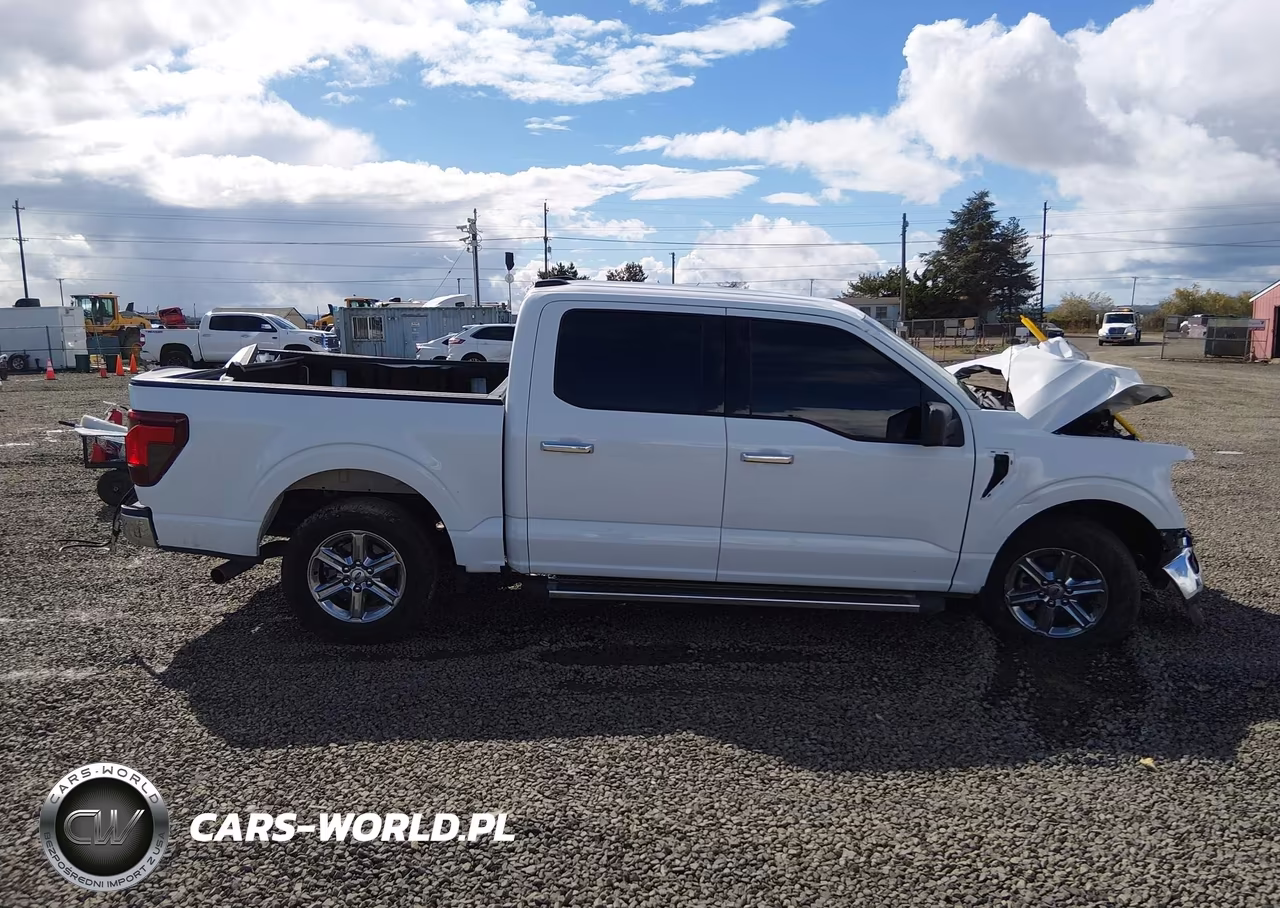 2025 Ford F-150 Xlt VIN:1FTEW3K82SKE88982 - 14
