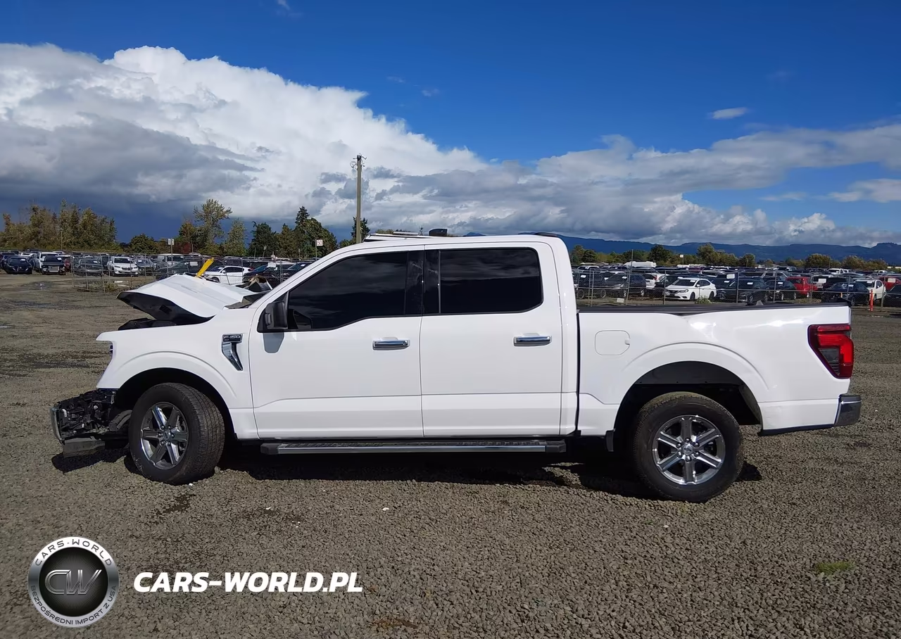 2025 Ford F-150 Xlt VIN:1FTEW3K82SKE88982 - 15