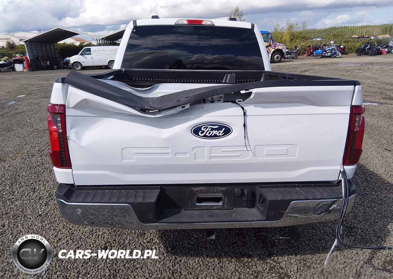 2025 Ford F-150 Xlt VIN:1FTEW3K82SKE88982 - 19