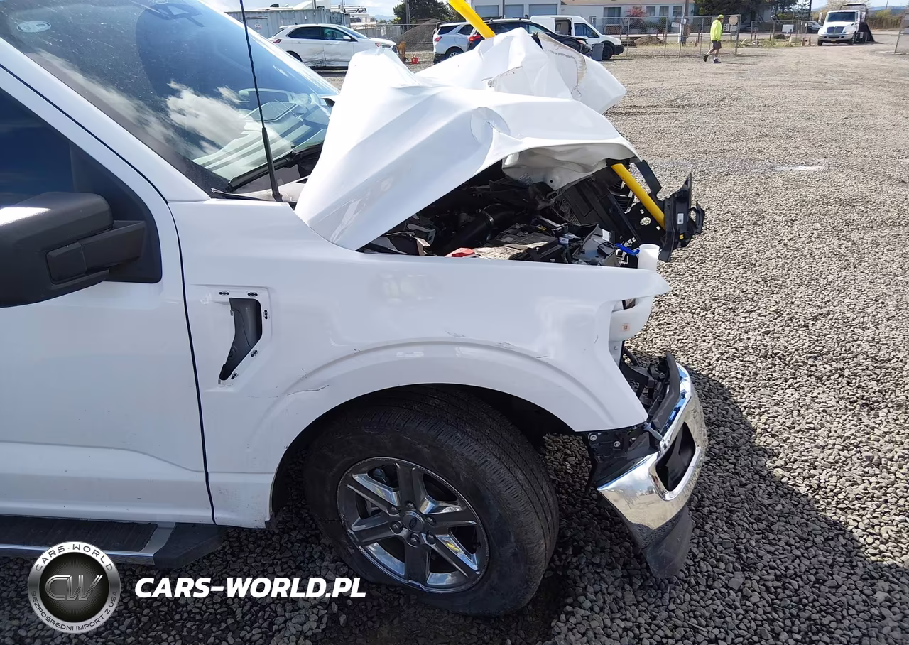 2025 Ford F-150 Xlt VIN:1FTEW3K82SKE88982 - 20