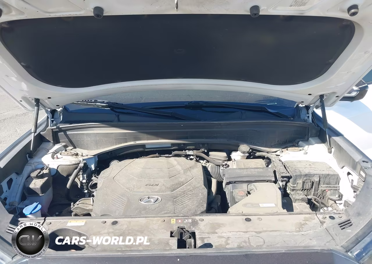 2022 Hyundai Palisade Limited VIN:KM8R54HE0NU451179 - 10