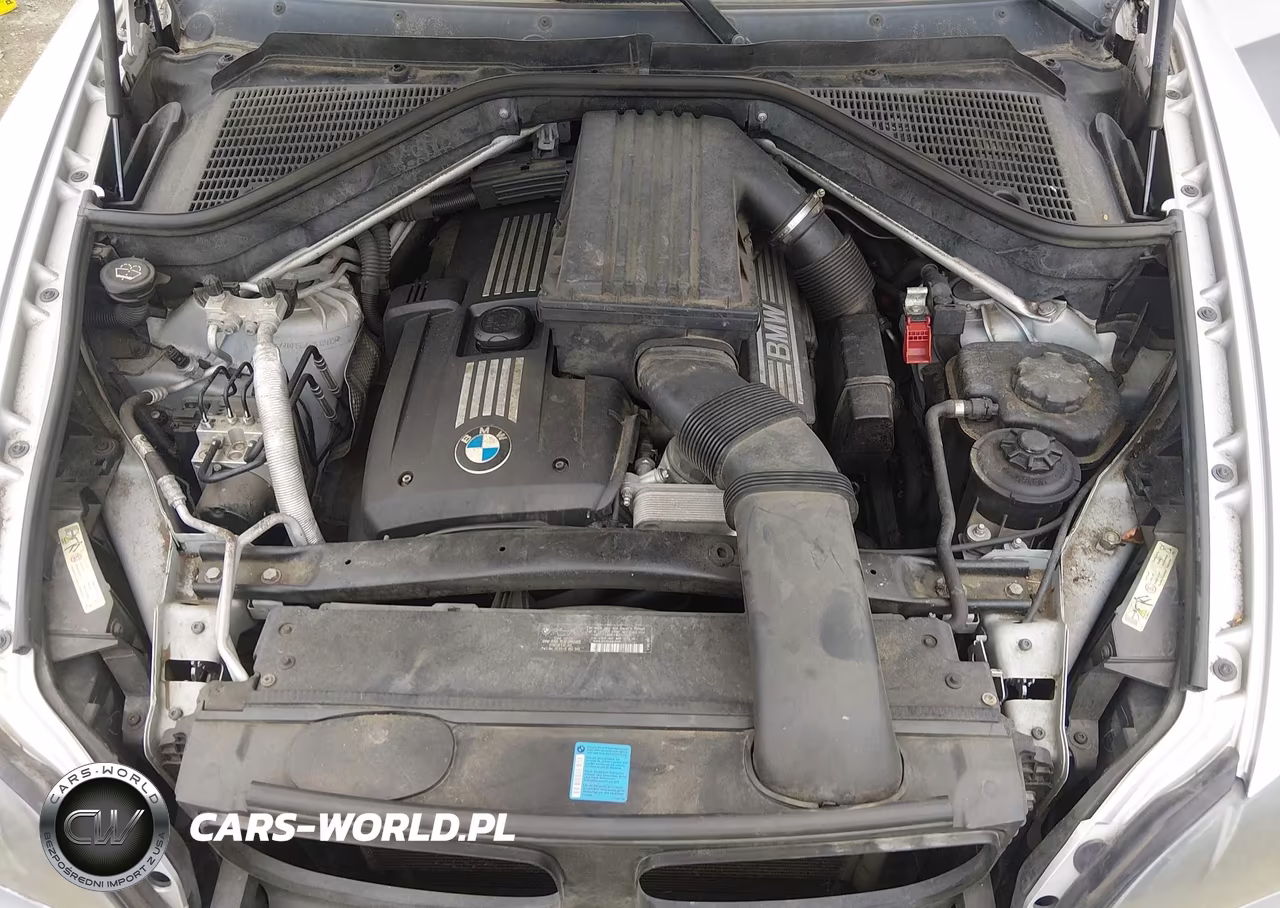 2007 BMW X5 3.0Si VIN:5UXFE43567LY81921 - 10