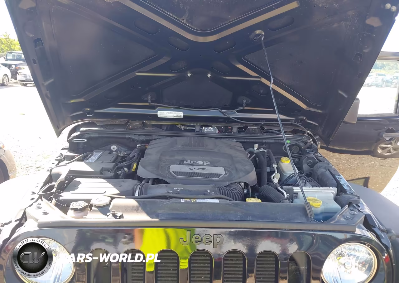 2016 Jeep Wrangler Unlimited Willys Wheeler VIN:1C4BJWDG8GL155369 - 10