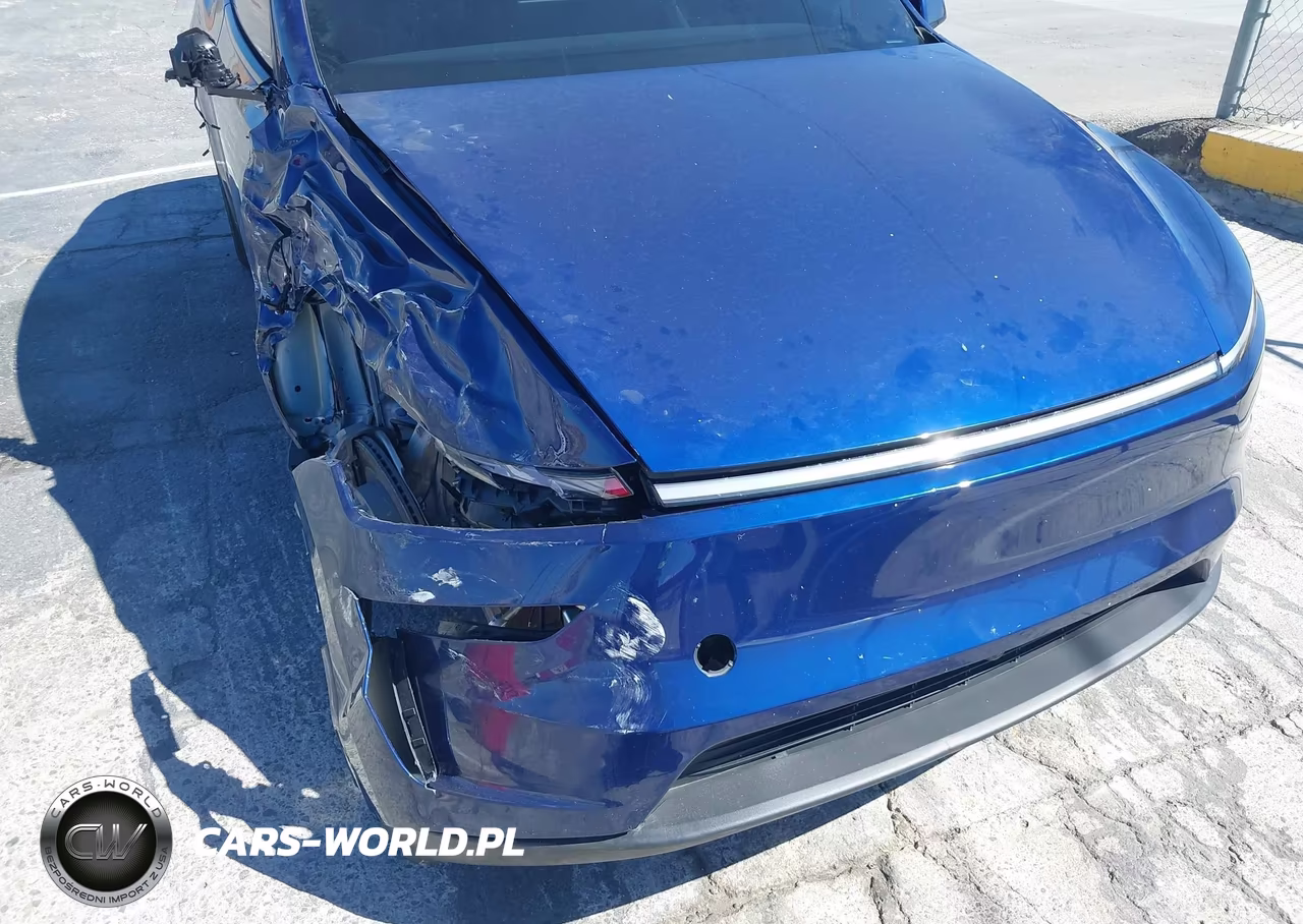2026 Tesla Model Y All-Wheel Drive-Long Range Launch Series-Premium All-Wheel Drive VIN:7SAYGDEE5TF604856 - 19