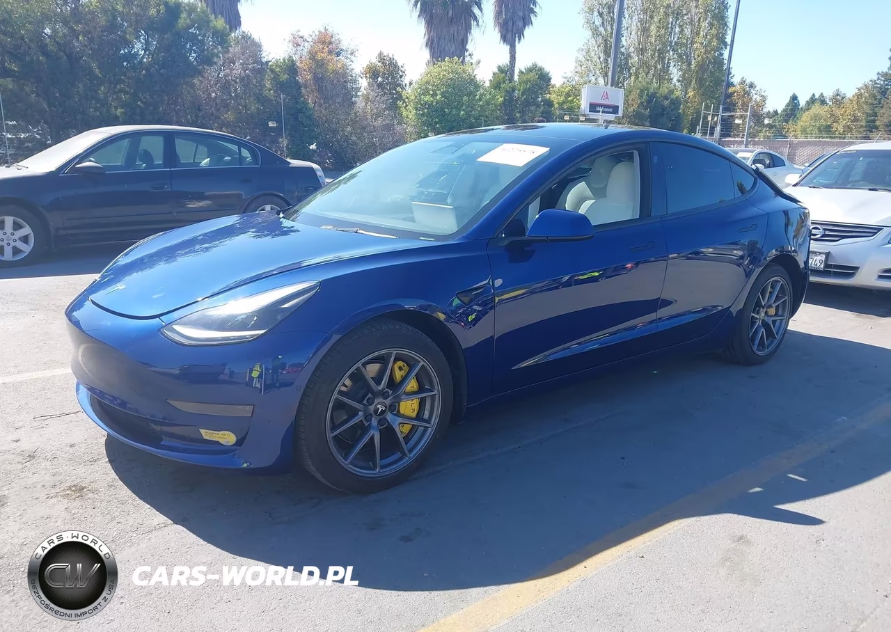 2022 Tesla Model 3 Rear-Wheel Drive VIN:5YJ3E1EA4NF164611 - 2