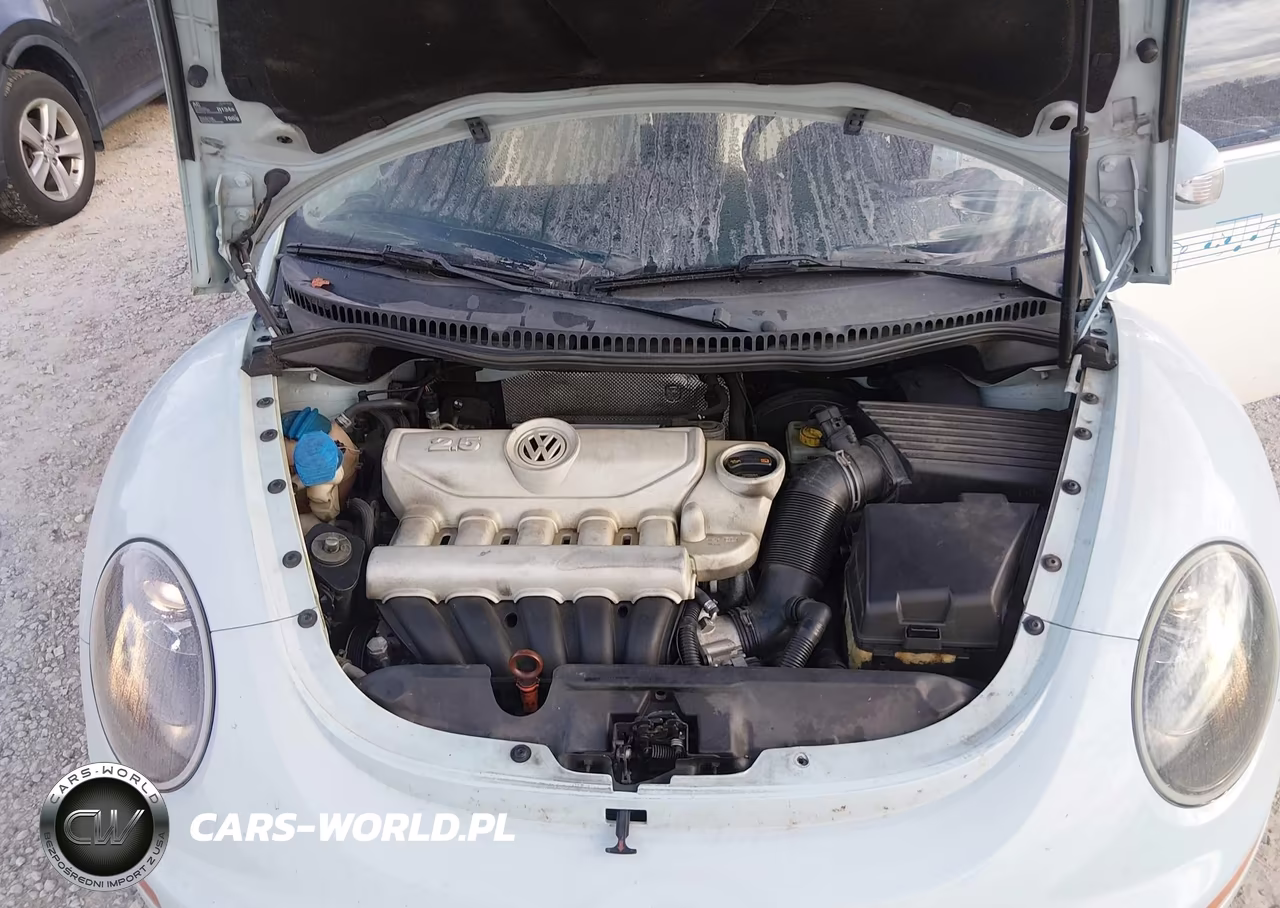 2010 Volkswagen New Beetle 2.5L Final Edition VIN:3VWRW3AL0AM002732 - 10