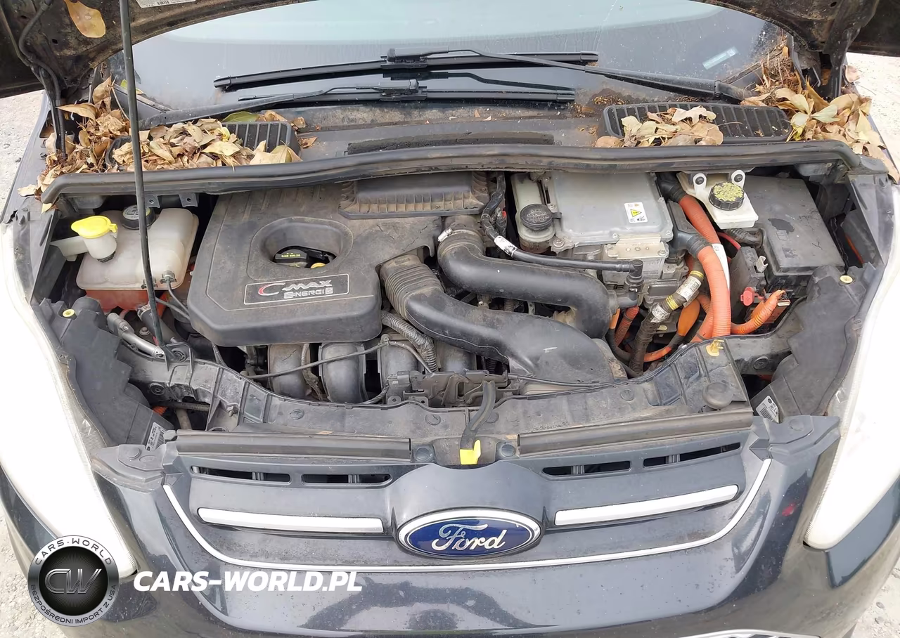 2013 Ford C-Max Energi Sel VIN:1FADP5CU3DL509969 - 10